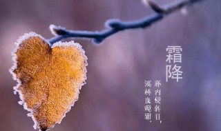 霜降節(jié)氣推薦語(yǔ) 霜降節(jié)氣語(yǔ)言教案