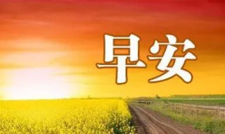 早上最打動(dòng)人心的問(wèn)候（早上最打動(dòng)人心的問(wèn)候圖片）