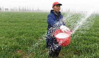 为什么农民老了没有退休 农民为什么没有退休制度