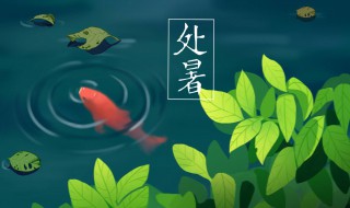 關(guān)于處暑的歌曲（關(guān)于處暑的歌曲大全）