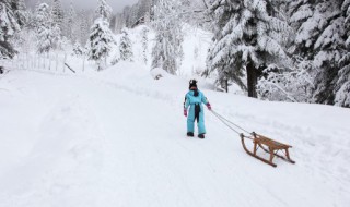 高山滑雪起源于什么（高山滑雪起源于什么時候）