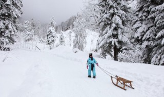 梦见下雪是什么意思预兆（梦见下雪是什么意思啊?）