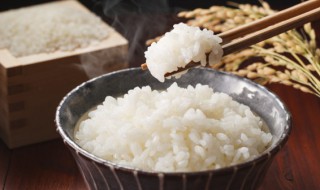 米饭能冷冻吗 米饭能放冰箱几天