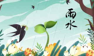 雨水養(yǎng)生禁忌（雨水養(yǎng)生注意什么）