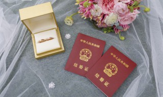 結(jié)婚22周年是屬于什么婚（結(jié)婚22周年是屬于什么婚年）