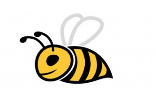 蜜蜂是什么目（蜜蜂的种类及图片）