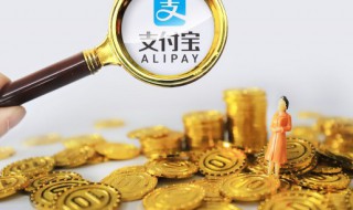 支付宝怎么提取公积金（支付宝怎么提取公积金到银行卡）