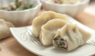 豬肉韭菜餃子餡的做法（白菜豬肉韭菜餃子餡的做法）