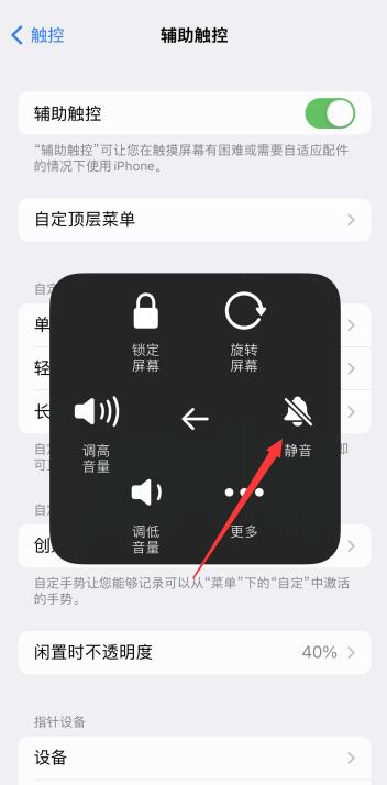 iPhone12无缘无故没声音