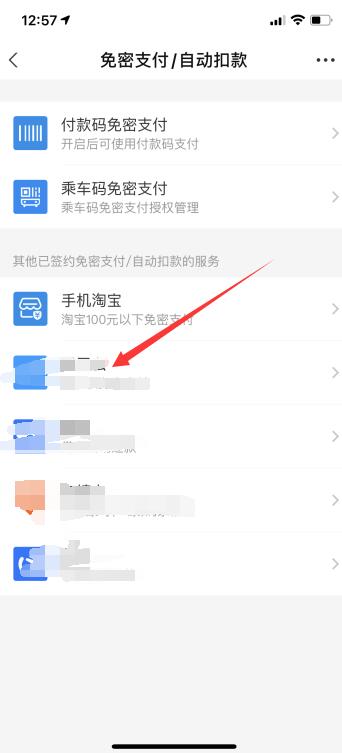 iPhone支付寶自動(dòng)扣款怎么取消