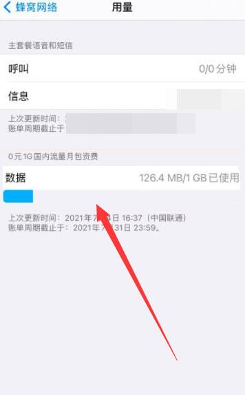 iPhone12怎么看每日流量