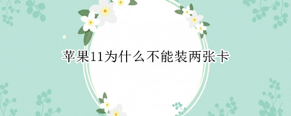 蘋果11為什么不能裝兩張卡（蘋果11不能裝兩張卡嗎）