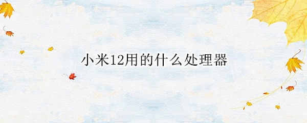 小米12用的什么處理器（小米12系統(tǒng)支持哪些手機(jī)）