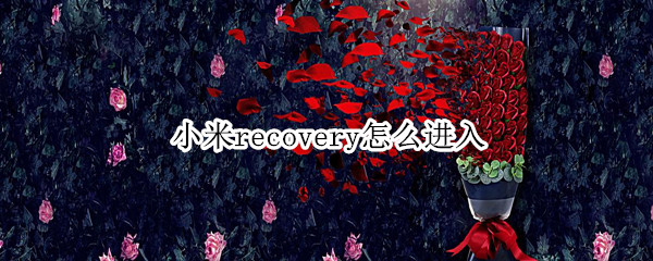 小米recovery怎么进入（小米如何进入recovery）