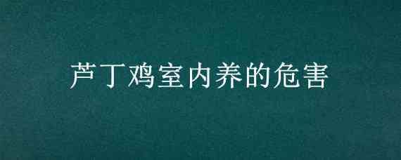 蘆丁雞室內(nèi)養(yǎng)的危害_養(yǎng)雞人必看