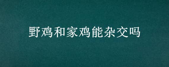 野雞和家雞能雜交嗎_養(yǎng)雞人必看