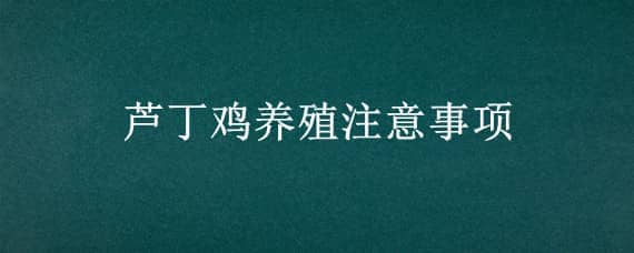 芦丁鸡养殖注意事项_养鸡人必看