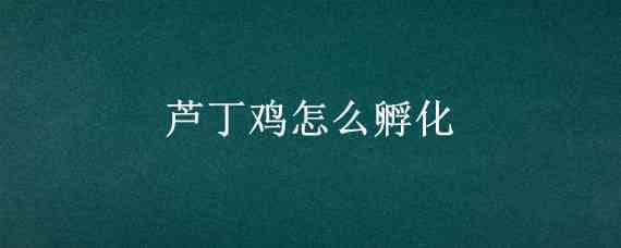 蘆丁雞怎么孵化_養(yǎng)雞人必看