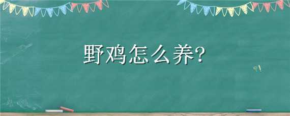 野雞怎么養(yǎng)