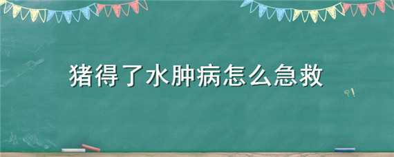 豬得了水腫病怎么急救