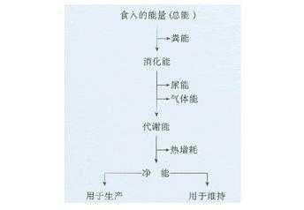 猪硒和/或维生素A、B、E 缺乏症防治