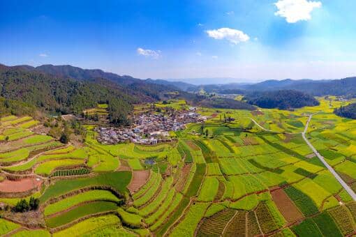 农田建设项目包括哪些-摄图