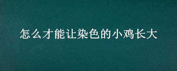 怎么才能让染色的小鸡长大