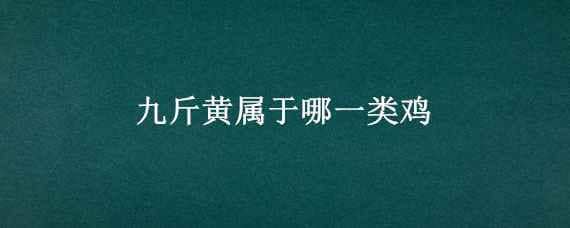 九斤黃屬于哪一類雞