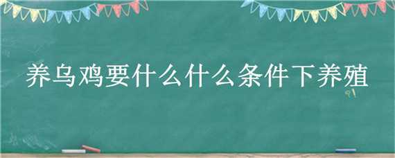 養(yǎng)烏雞要什么什么條件下養(yǎng)殖