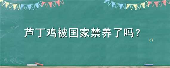 芦丁鸡被国家禁养了吗