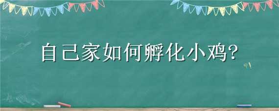 自己家如何孵化小鸡