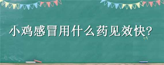 小鸡感冒用什么药见效快