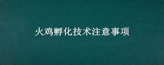 火鸡孵化技术注意事项