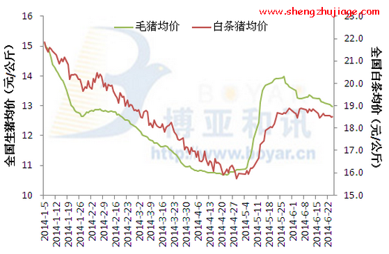 上半年生豬養(yǎng)殖持續(xù)虧損 下半年豬市該如何？