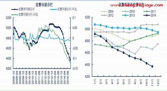 能繁母豬存欄走出新低，2015年生豬供應(yīng)同比大幅下降