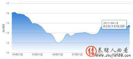 9月豬價(jià)下跌飼料成本增加 四季度豬市將如何變化