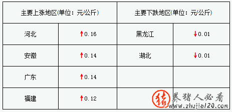 豬評：豬價持續(xù)上漲 最新豬價上漲