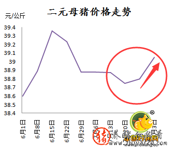 二元母猪仍在涨 后期仍看好的节奏