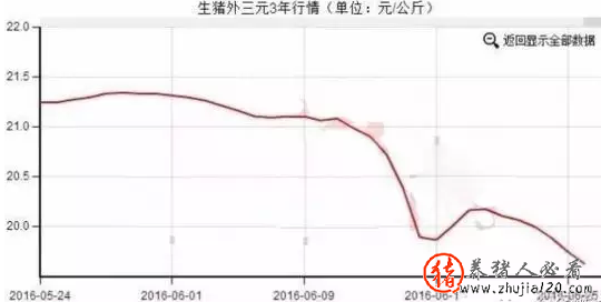 多因素致豬價回落 下半年百姓拎“菜籃子”將變輕松