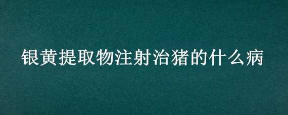 銀黃提取物注射治豬的什么病（豬用銀黃提取物注射）