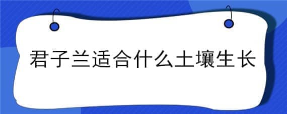 君子蘭適合什么土壤生長（君子蘭最適合什么土壤）