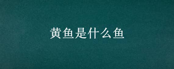 黄鱼是什么鱼 野生黄鱼是什么鱼