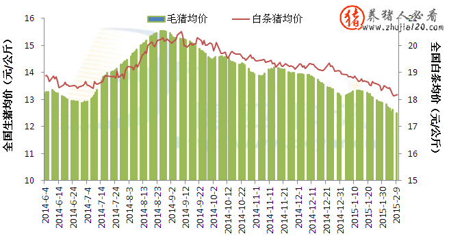 外三元生豬均價(jià)為12.51元/公斤 外三元生豬價(jià)格今日豬價(jià)