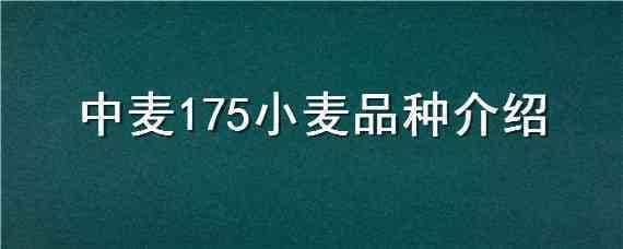 中麦175小麦品种介绍 中麦175小麦与产量