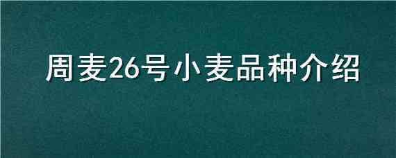 周麦26号小麦品种介绍（周麦25小麦品种介绍）