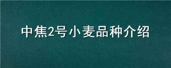 中焦2号小麦品种介绍 中焦2号小麦品种介绍大全