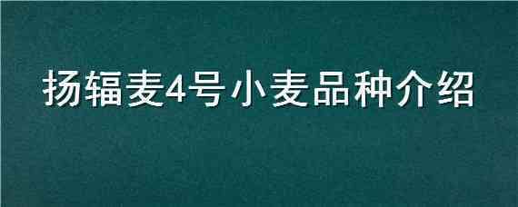 扬辐麦4号小麦品种介绍 扬麦25号品种