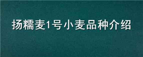 扬糯麦1号小麦品种介绍 商麦1号麦种品种特性