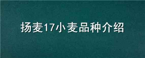 扬麦17小麦品种介绍（扬麦27品种介绍）