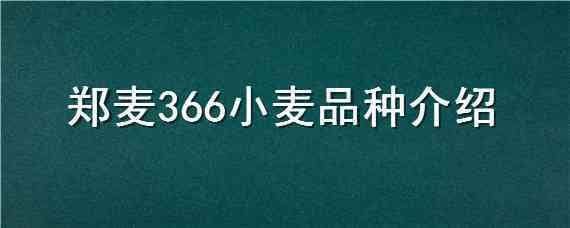 郑麦366小麦品种介绍